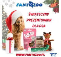Prezentownik dla zwierząt. Najlepsze prezenty świąteczne dla psów.